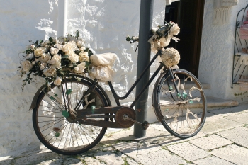 A Bike Festooned With Roses And The Pink Hula Hoop